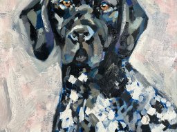 Black &amp; White German Shorthaired Pointer